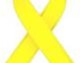I deputati di Forza Italia indossano un nastro giallo in sostegno dei due Marò